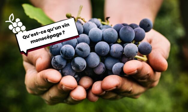 Qu’est-ce qu’un vin monocépage ?