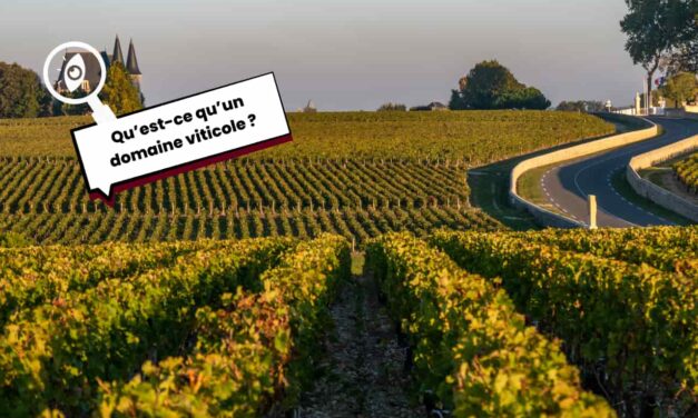 Qu’est-ce qu’un domaine viticole ?